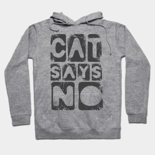 Cat lover humor slogan Hoodie